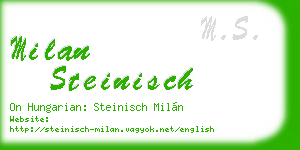 milan steinisch business card